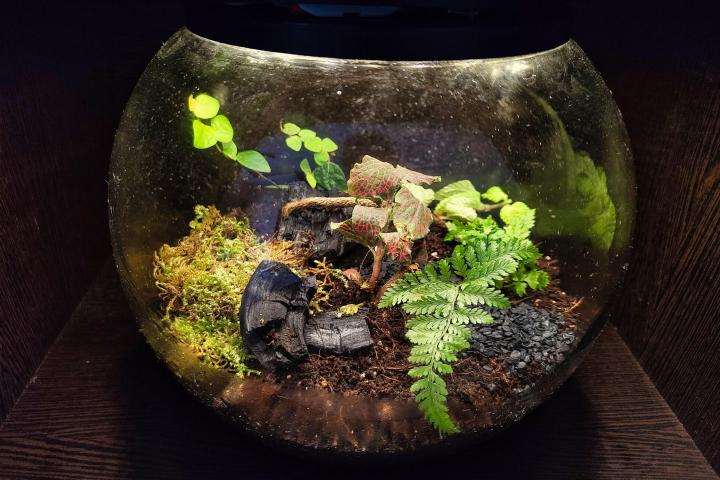EcoSphere — smart terrarium with Pico W, SHT41 sensor, relay-controlled humidifier and grow lights